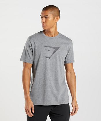 T Shirts Męskie Gymshark Sharkhead Infill Szare | PL 3824GSO